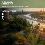 Adana – IT and Artificial Intelligence Law