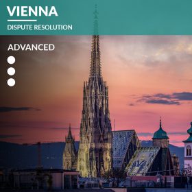 Vienna – Dispute Resolution
