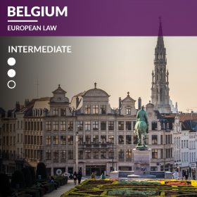 Belgium – EU Institutional law