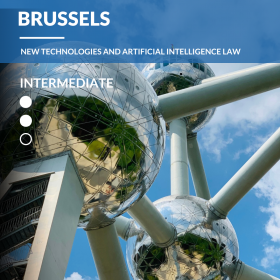Brussels – New Technologies and Artificial Intelligence Law