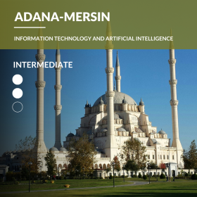 Adana/Mersin – Information Technology and Artificial Intelligence Law