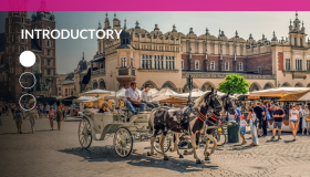 Cracow – International Tax Law