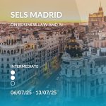 SELS Madrid on Business Law & AI