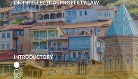 SELS Tbilisi on Intellectual Property Law