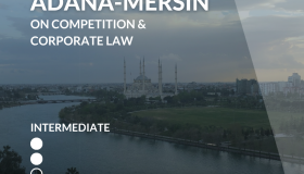 WELS Adana on Competition and Corporate Law