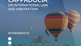 SELS Ankara-Cappadocia on International Law and Arbitration
