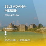 SELS Adana-Mersin on AI and IT law