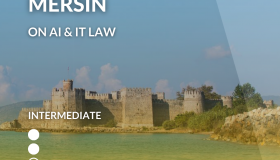 SELS Adana-Mersin on AI and IT law