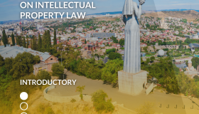 SELS Tbilisi on Intellectual Property Law