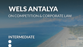 WELS Antalya on Competition and Corporate Law